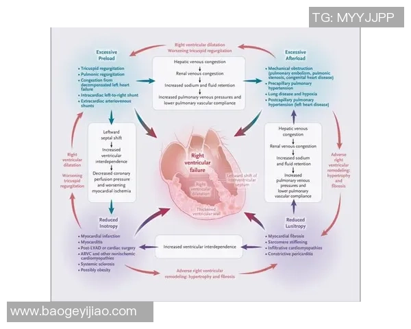 成都网球队技术深度解析：从基础训练到比赛策略的全面探讨