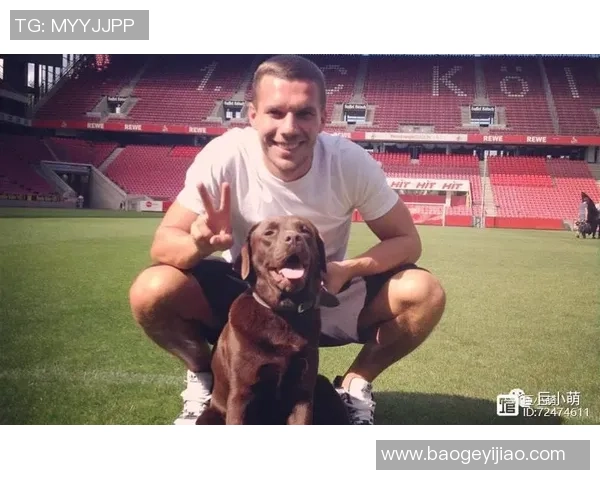 狗狗足球赛场上的精彩瞬间与欢乐互动让人忍俊不禁 狗狗足球赛场上的精彩瞬间与欢乐互动让人忍俊不禁