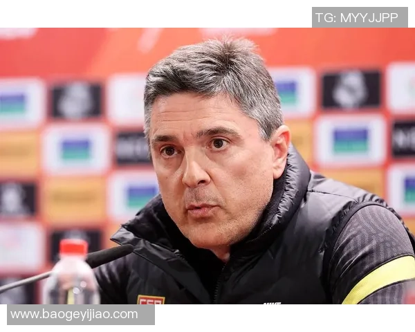 足球林枫：探索绿茵场上的激情与梦想，追寻无尽的胜利之路