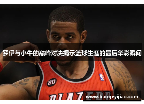 罗伊与小牛的巅峰对决揭示篮球生涯的最后华彩瞬间